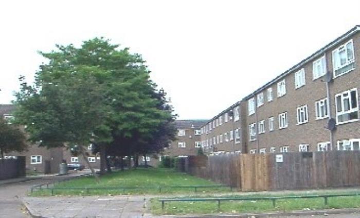 GENERAL VIEW OF ESTATE