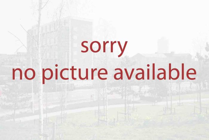 NO PICTURE AVAILABLE
