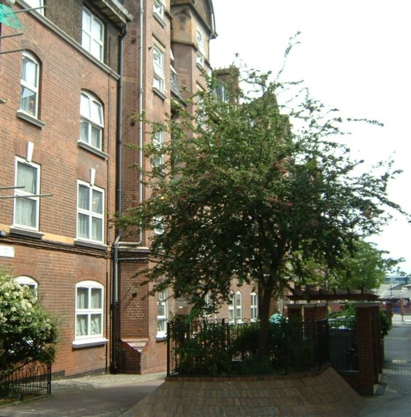General External View