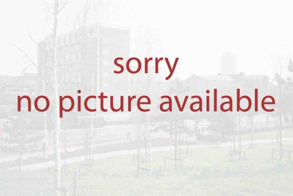 NO PICTURE AVAILABLE